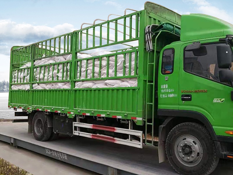 在河南为什么树脚要涂熟石灰，你真的了解吗？